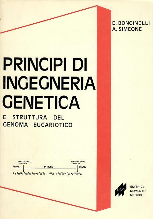 Principi di ingegneria genetica - 1982